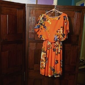 Short Sleeved Lined Dress